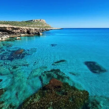 Attica Protaras